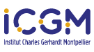 Logo ICGM